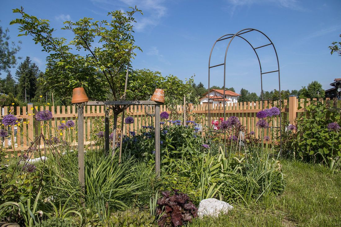Unser Garten