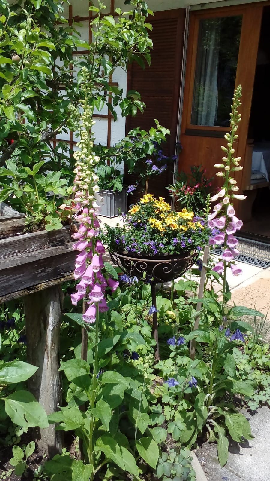 Gartenbereich
