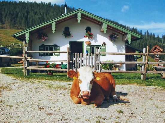jochberg-alm-unterwidholzkaser-unterw-ssen
