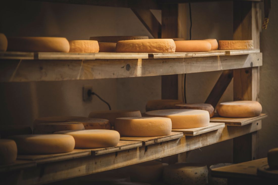 Käse beim reifen im Käsekeller
