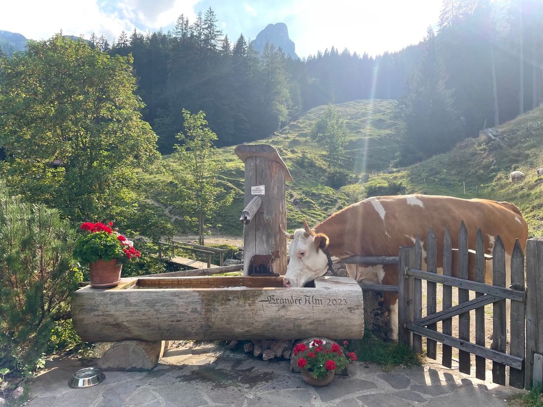 Blick von der Brander Alm in Ruhpolding