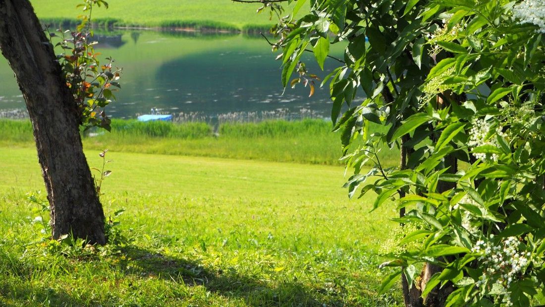 Froschsee