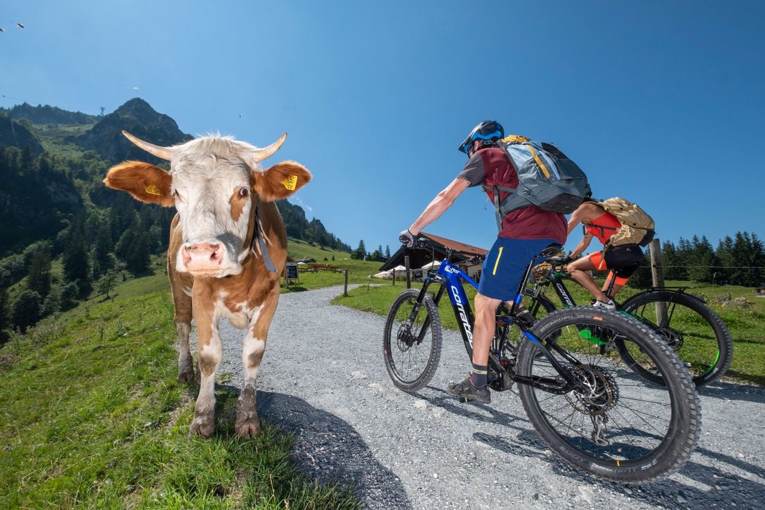 Mountainbiken