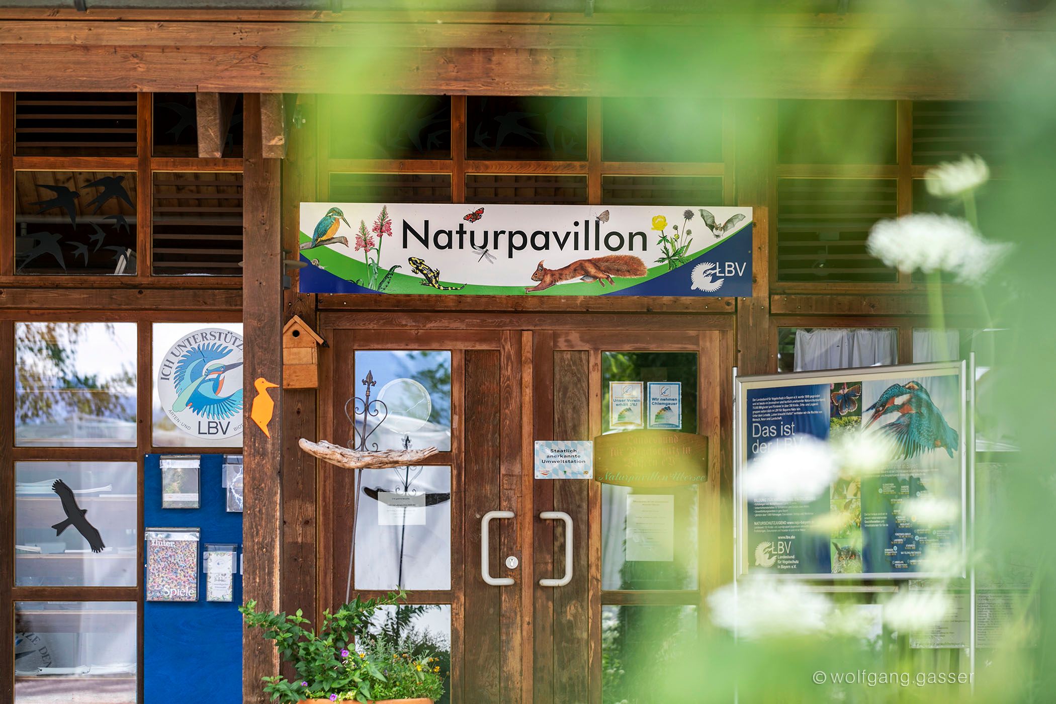 NaturpavillonZellerpark_Sommer2023_WG1_1260_WolfgangGasser_MedRes_cr