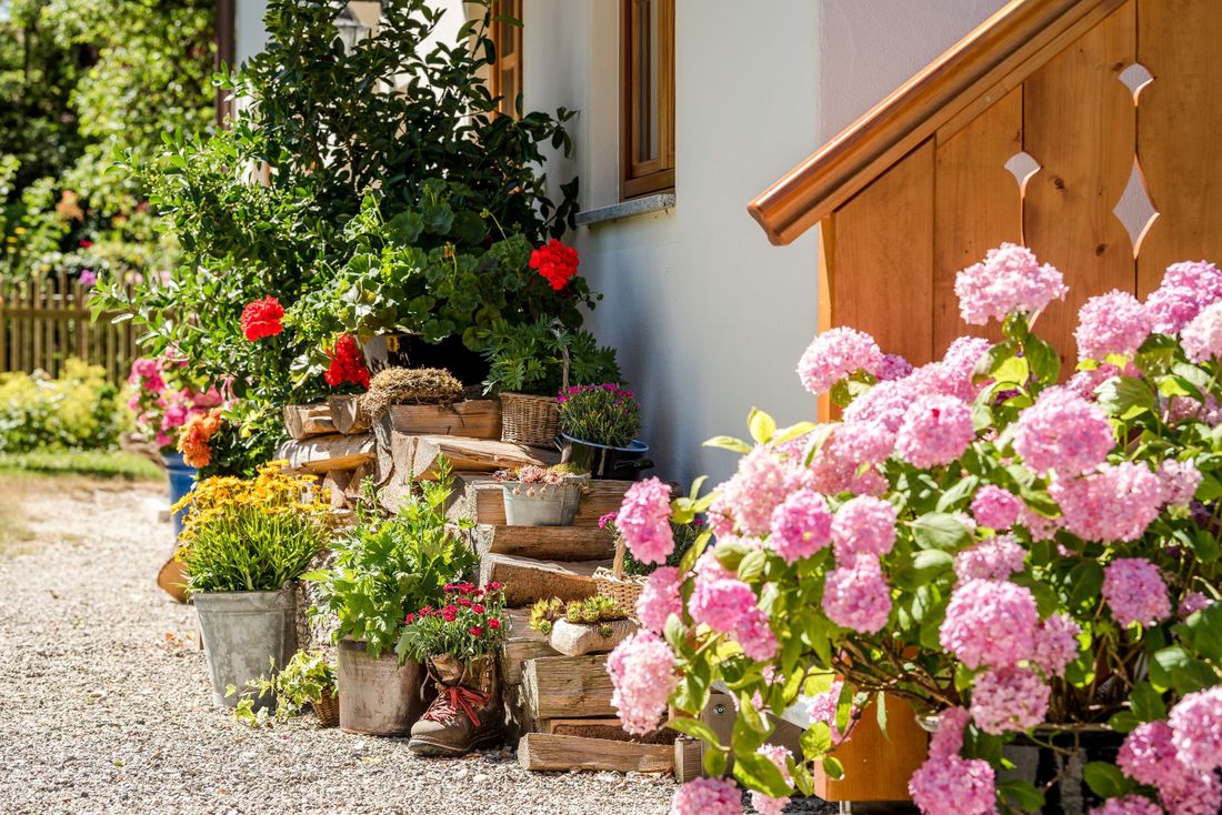 Blumen rund ums Anwesen "Beim Paulfischer"