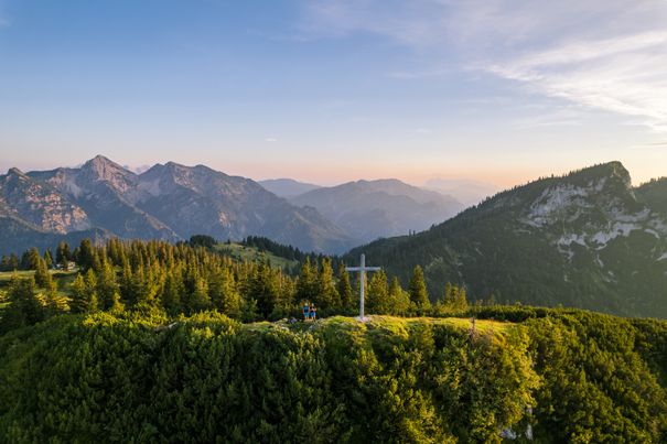 Streicher_voll--2.jpg