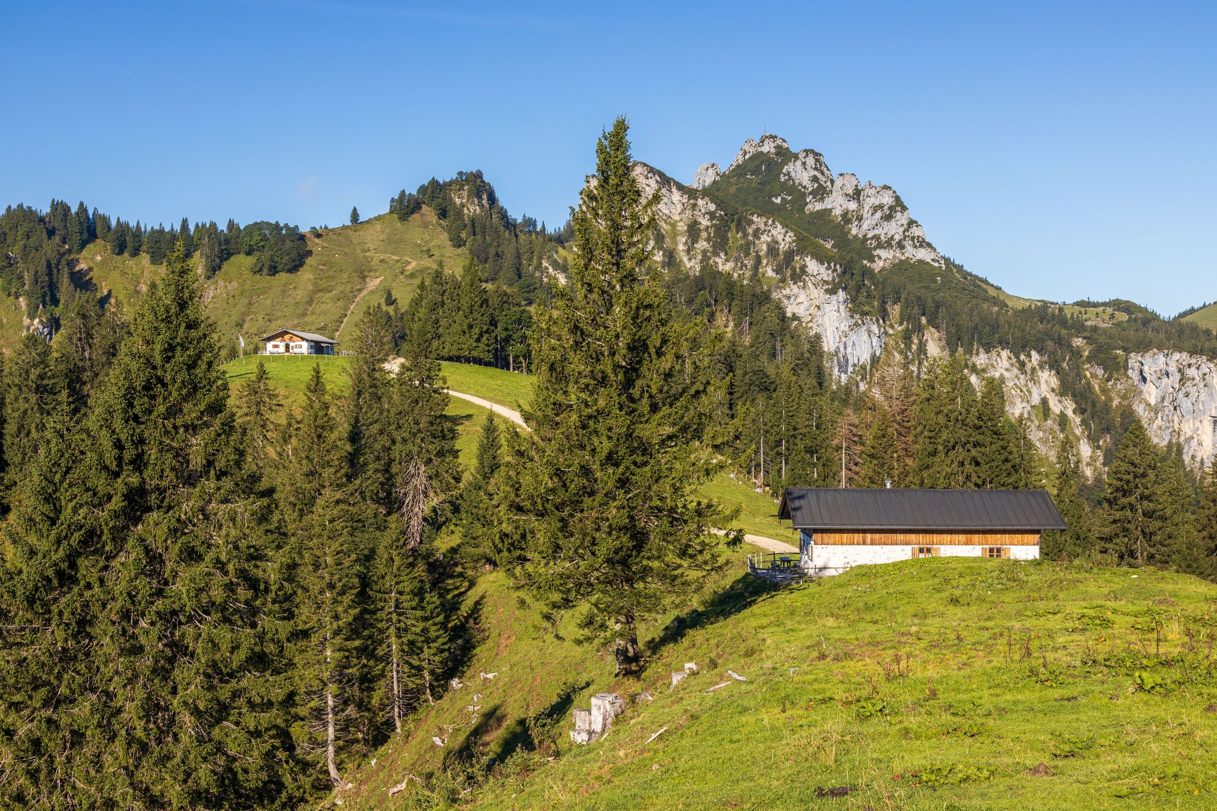 Blick Hochalm Kampenwand