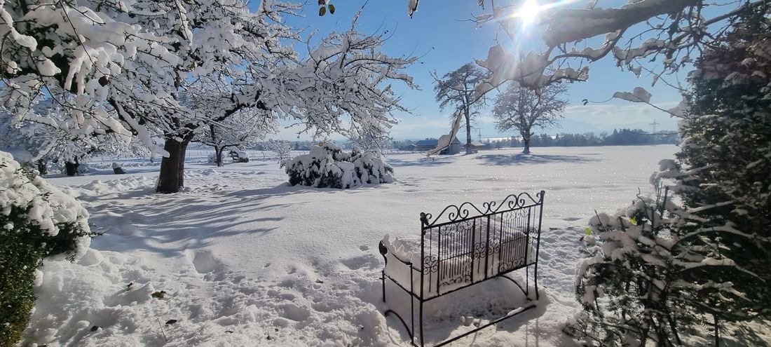 Winter at Moier-Hof LEX