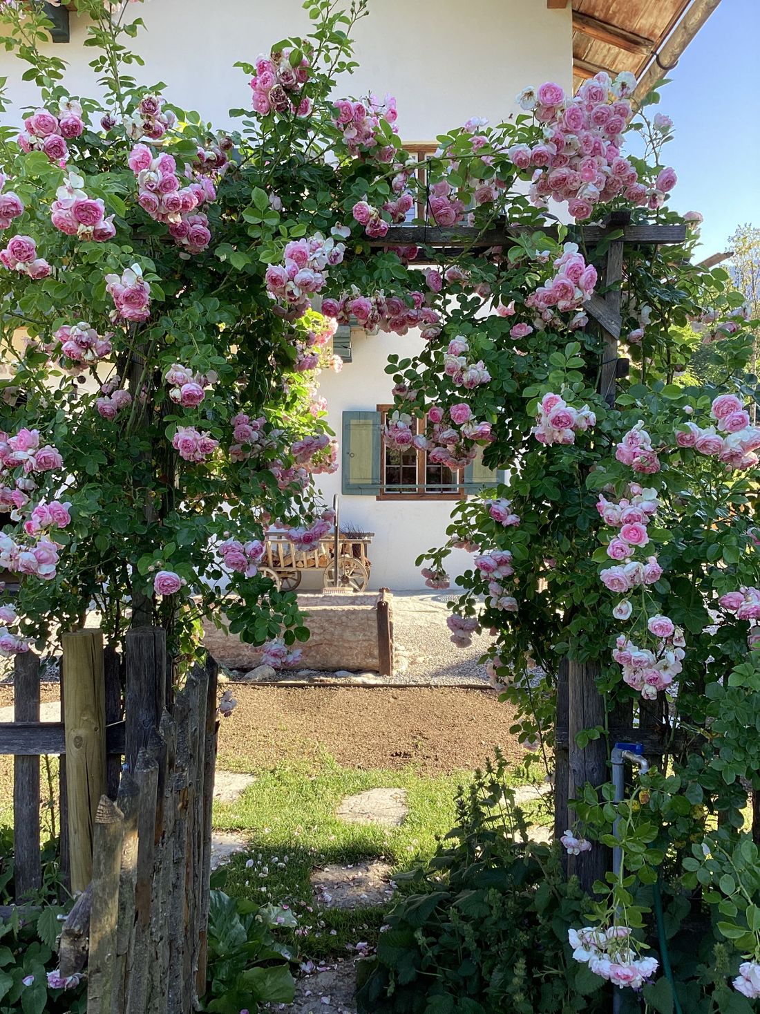 Rosenbogen am Lohei-Bauerngarten