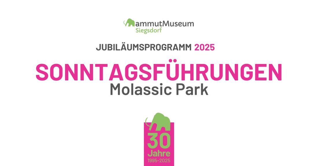 Sonntagsführung Molassic Park