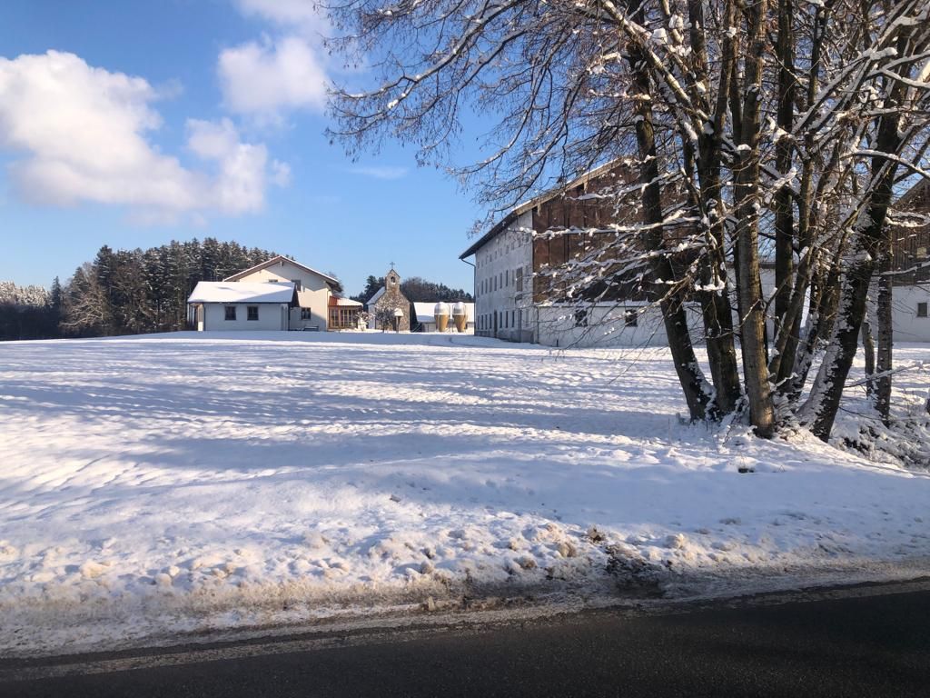 Winterstimmung