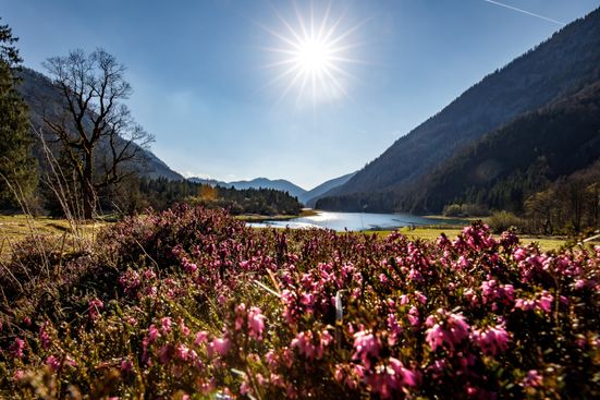 Almrausch mit Löden- und Mittersee