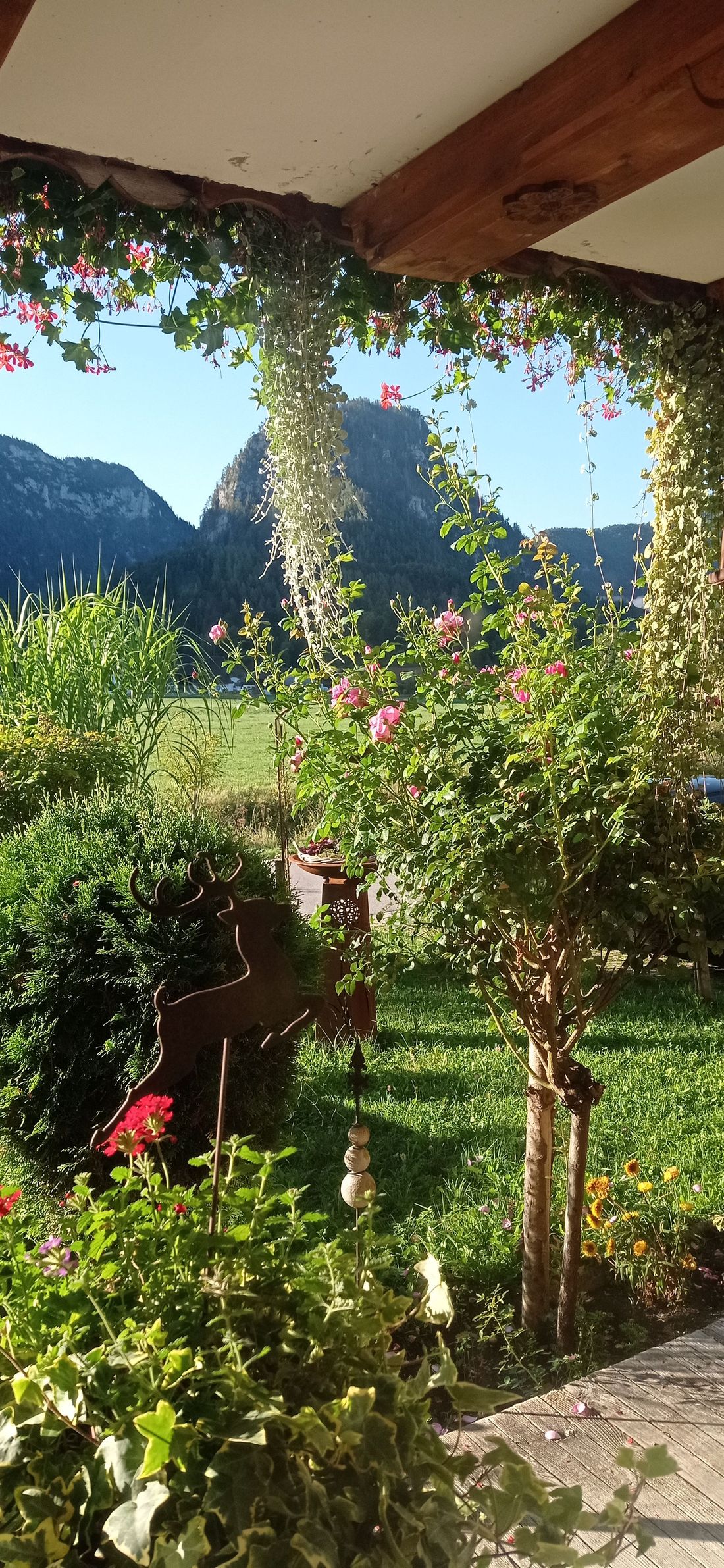 Unser Garten