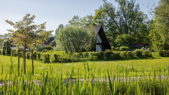 Baiuvarenhaus im Waginger Kurpark