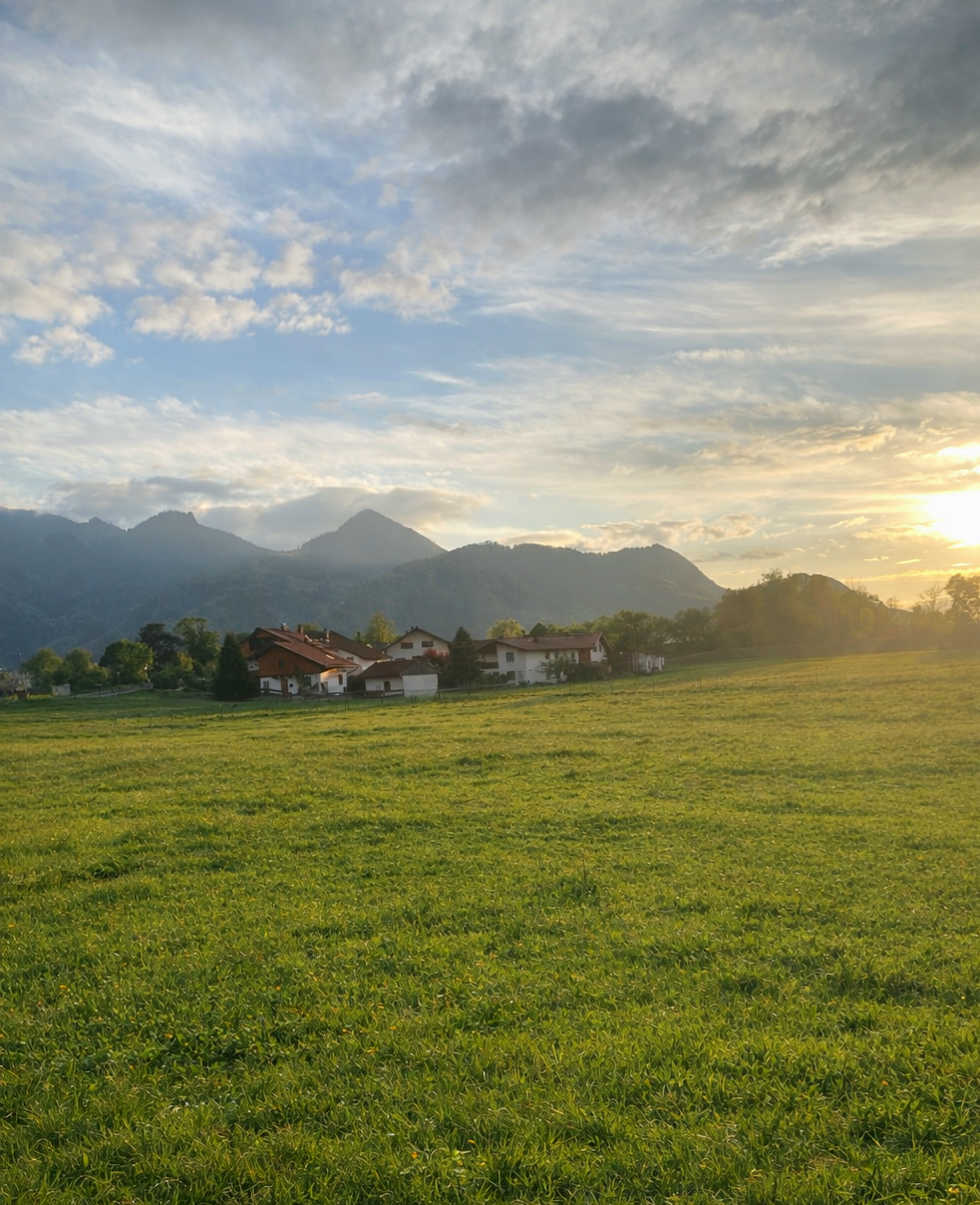 Sommerstimmung am Hof