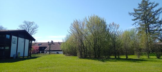 Blick ins Grüne