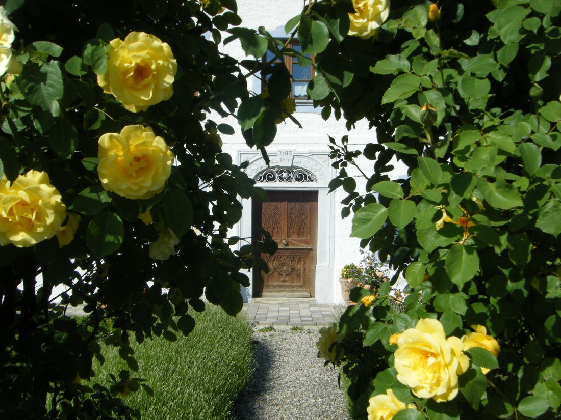 historische Haustüre aus dem Jahr 1856 mit gelben Rosen