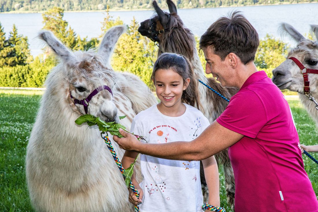 Genusswanderung mit Lamas
