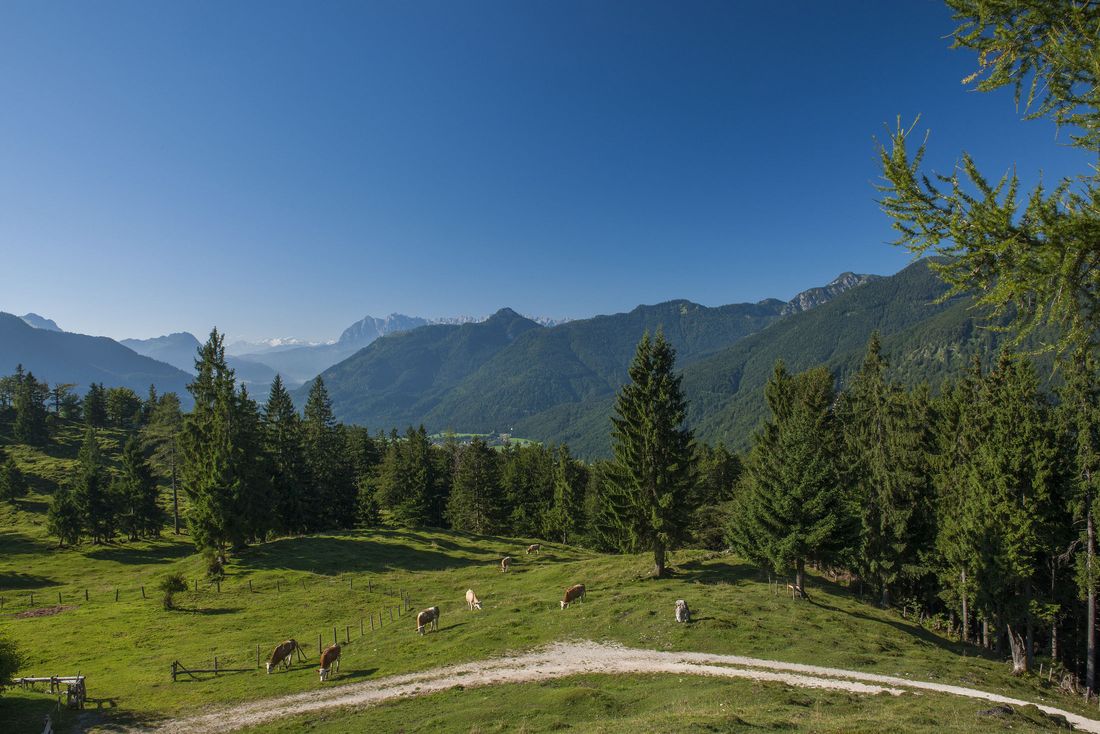 Oberauerbrunstalm_almen_mn_2016_43-5