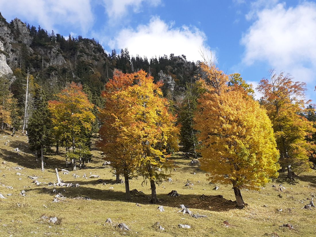 Herbststimmung in den Bergen
