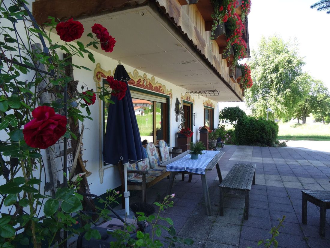 Entrance terrace