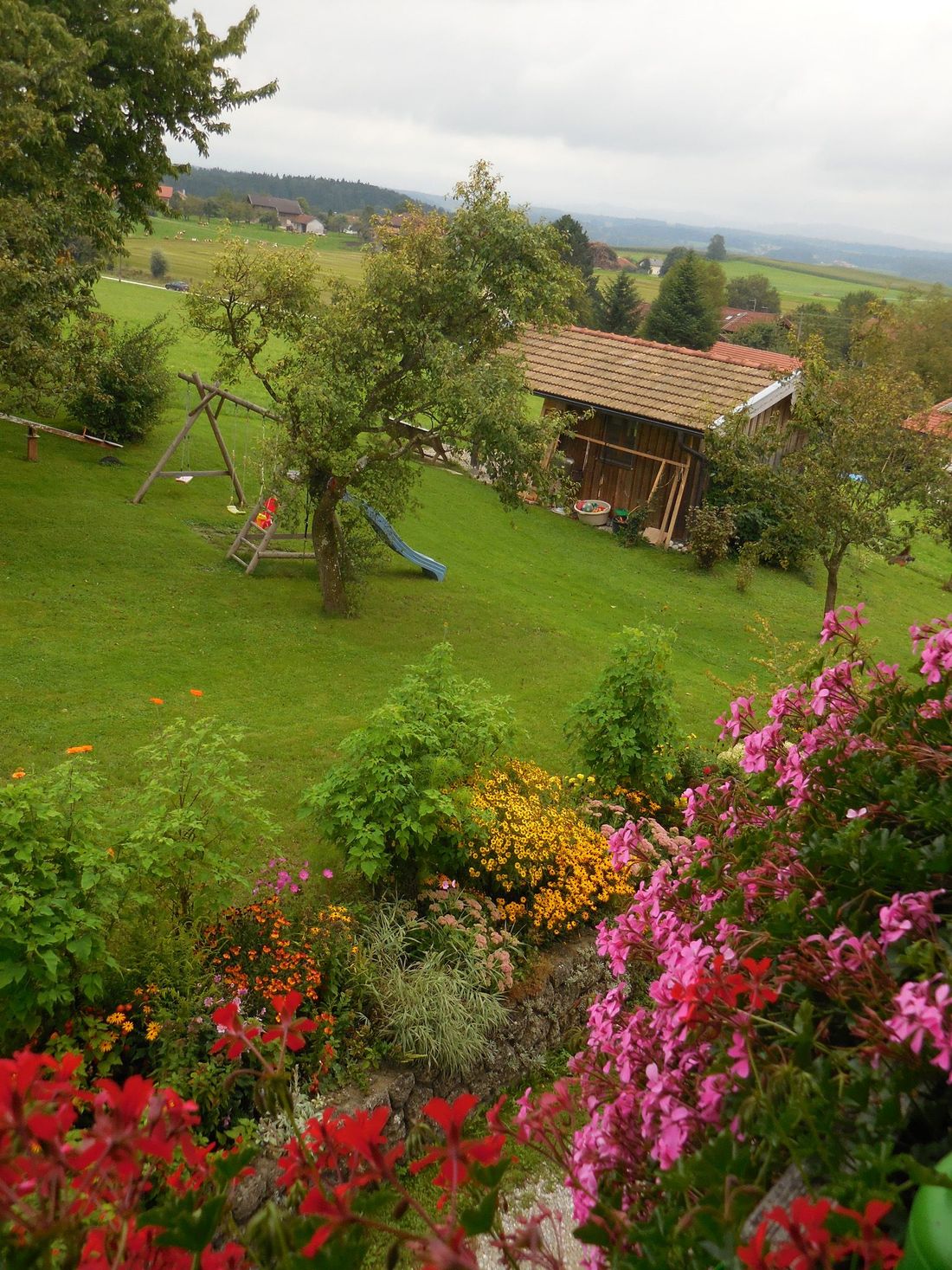 Blick in den Garten