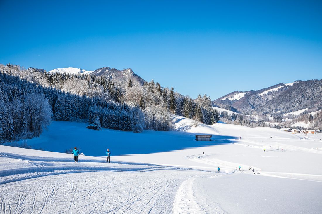 NQ8A8360_Andreas Plenk (4).jpg