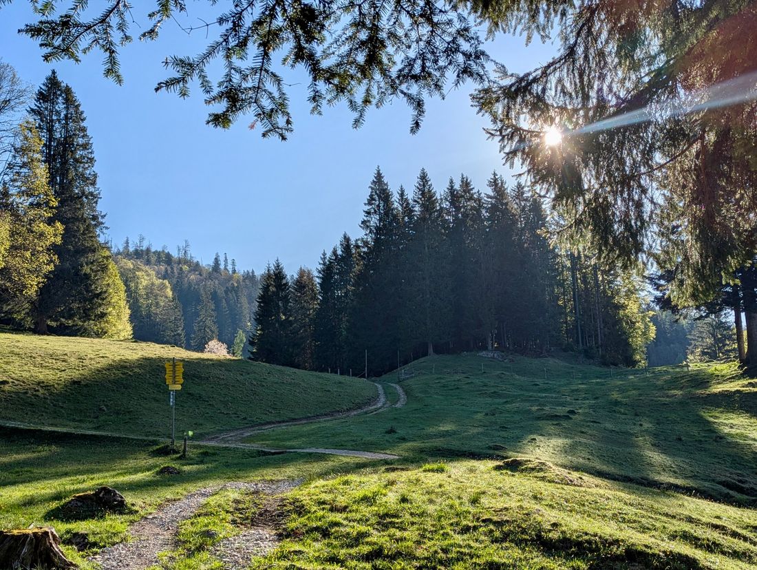 Almengebiet Hutzenalm
