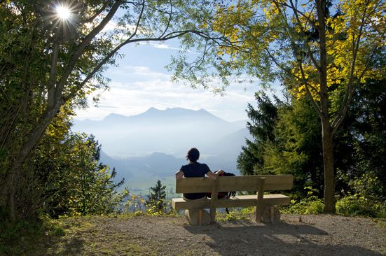 Ausblick