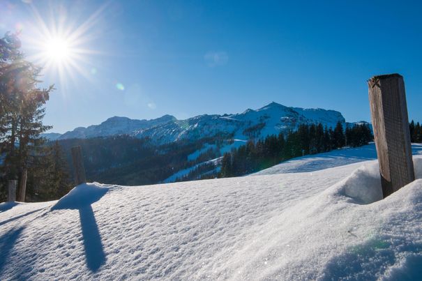 Winterlandschaft auf der Steinplatte 