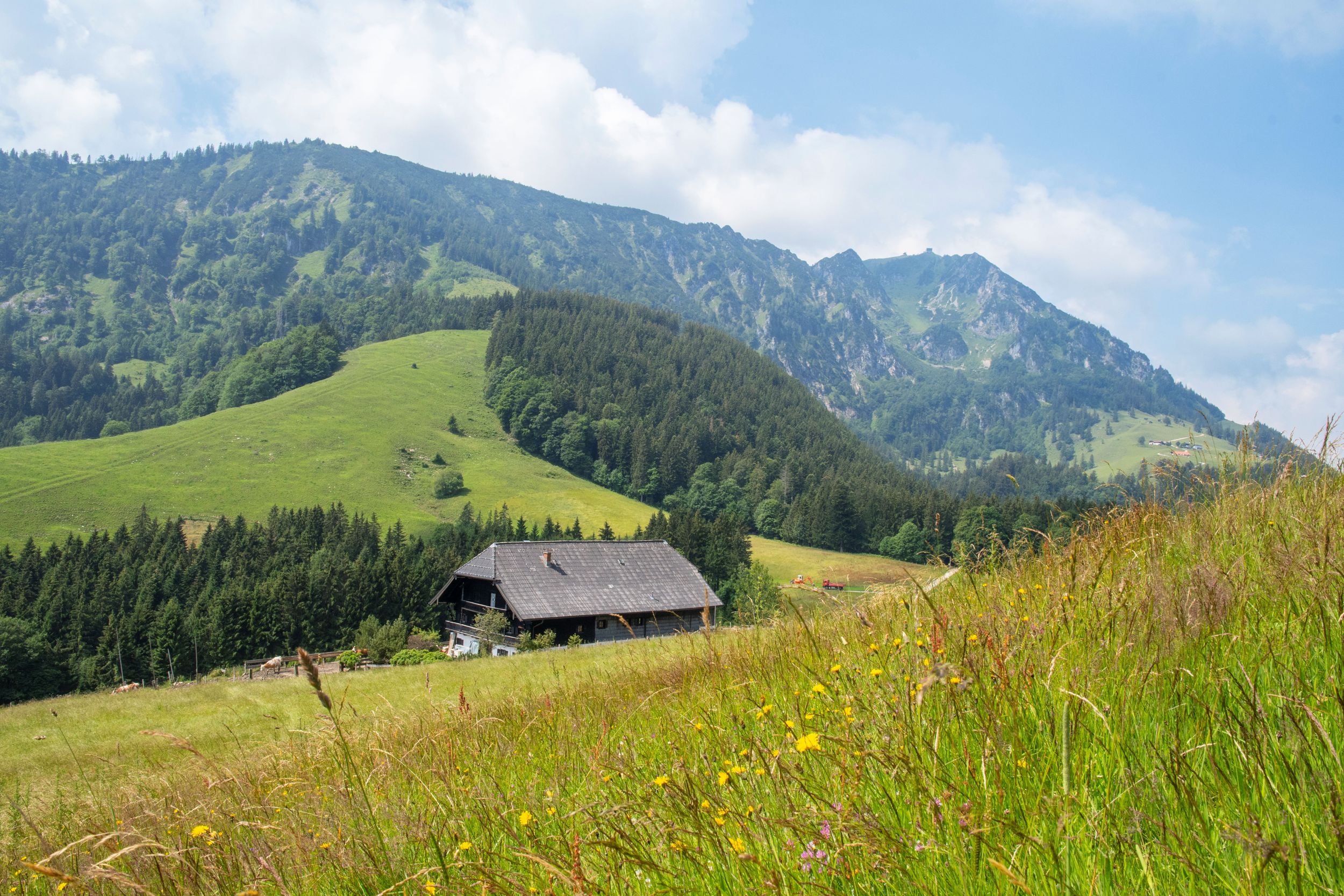 Hocherbalm-mit-Hochfelln