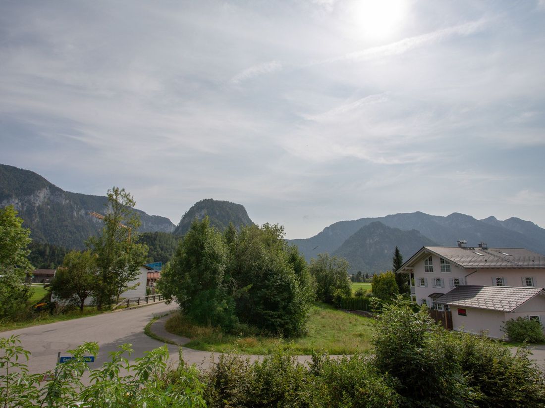view