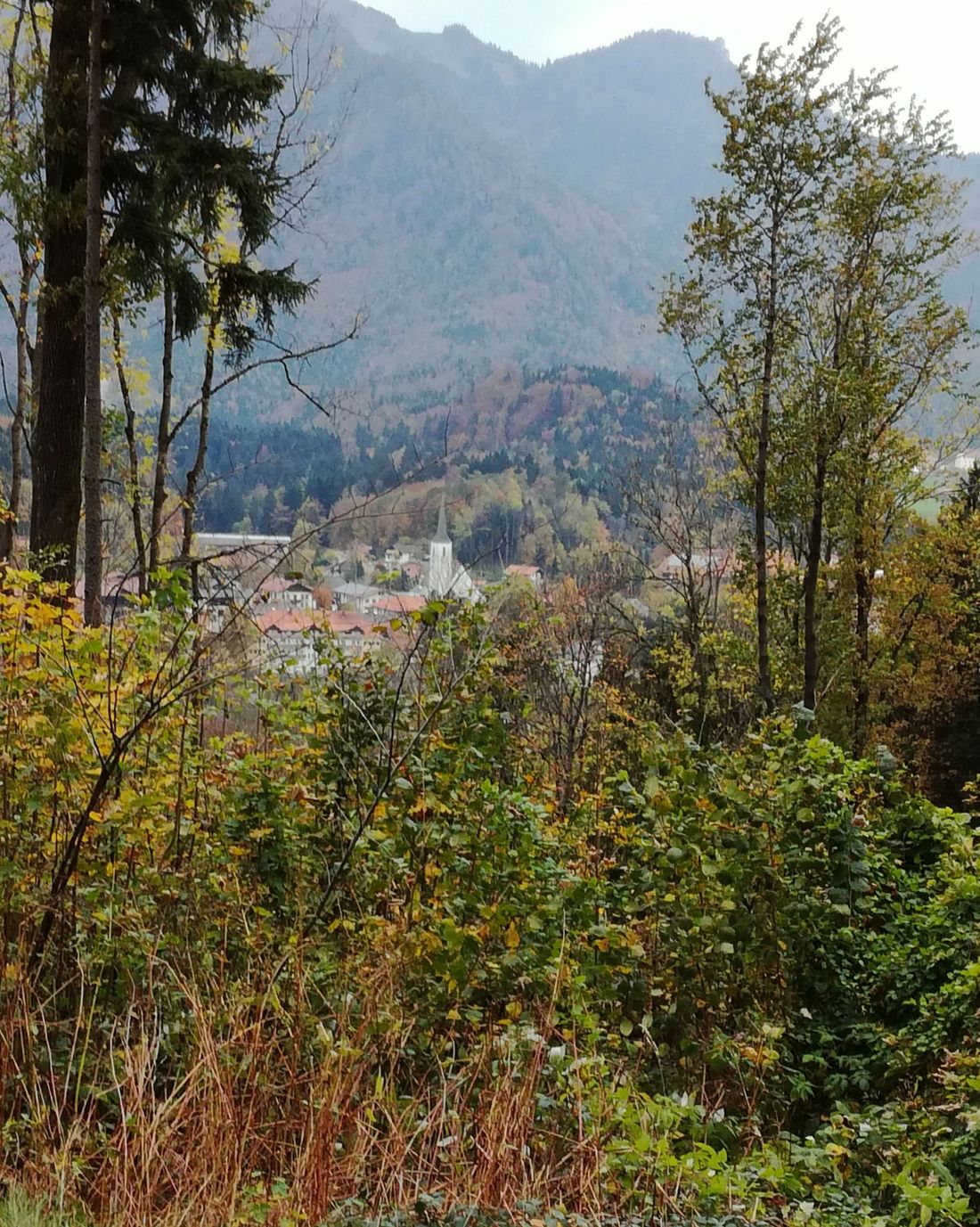 Marquartstein