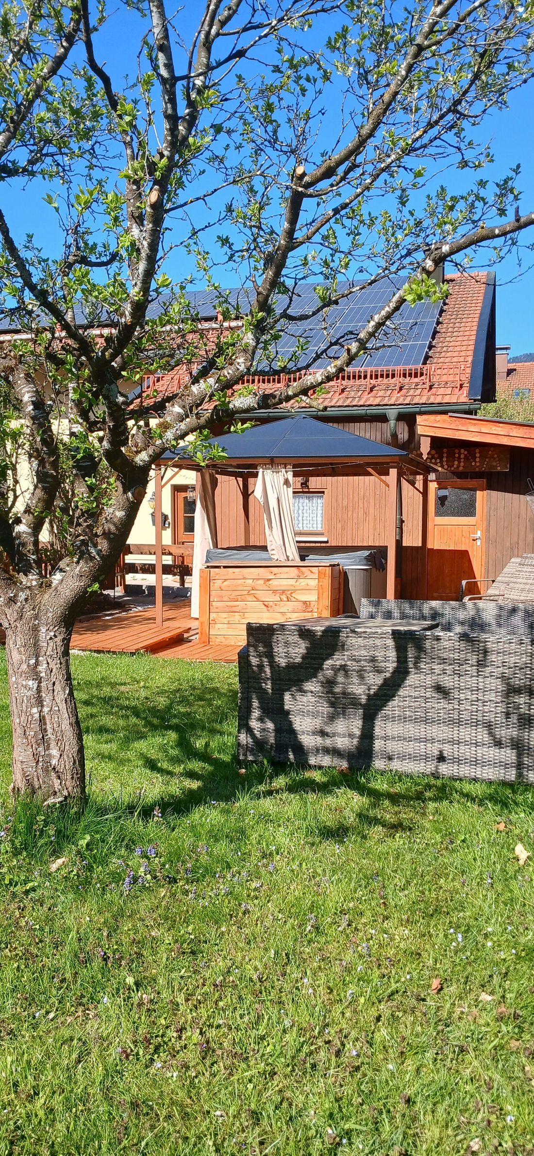 Garten Alpenrose