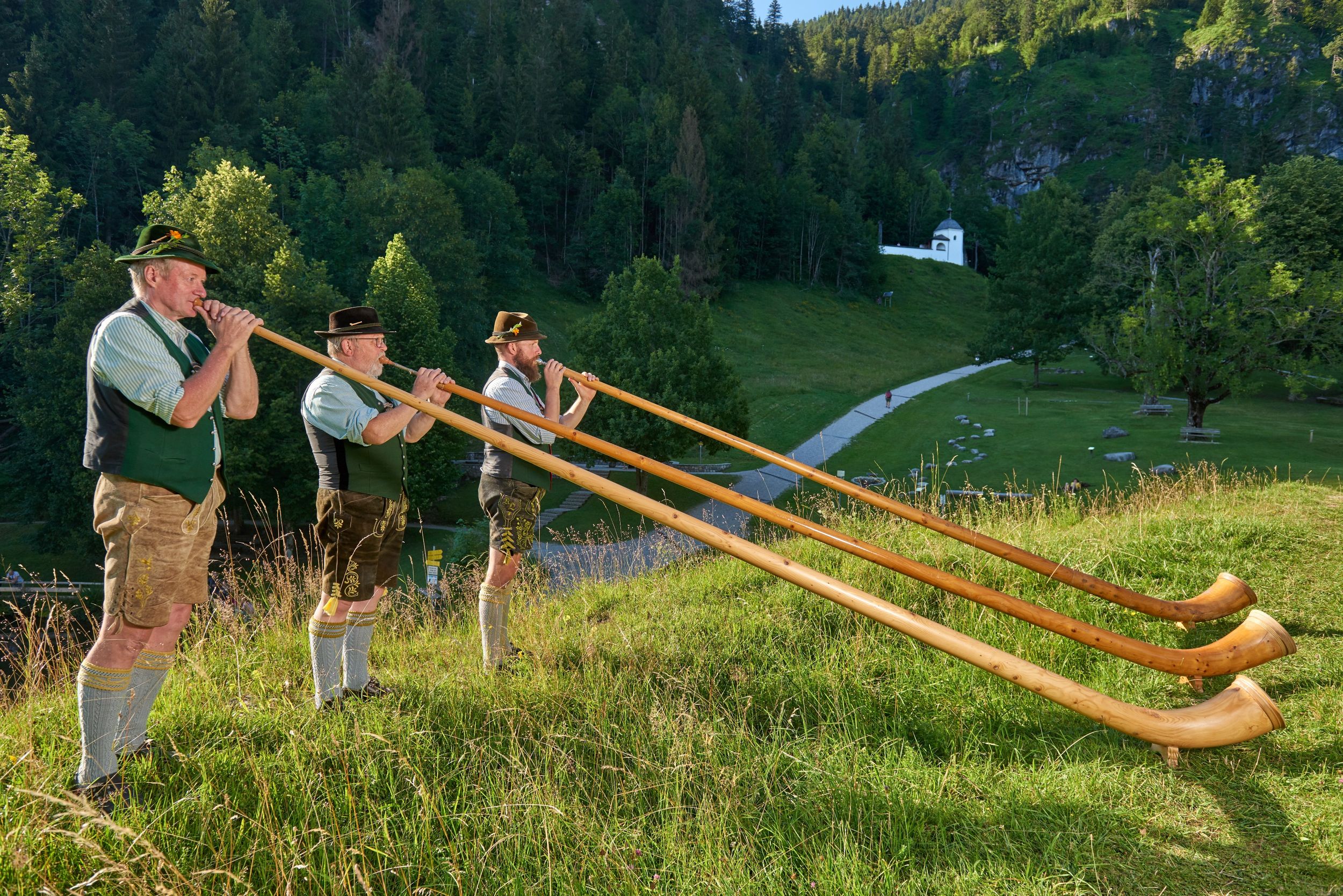 Alphornblaeser im Barfußpark