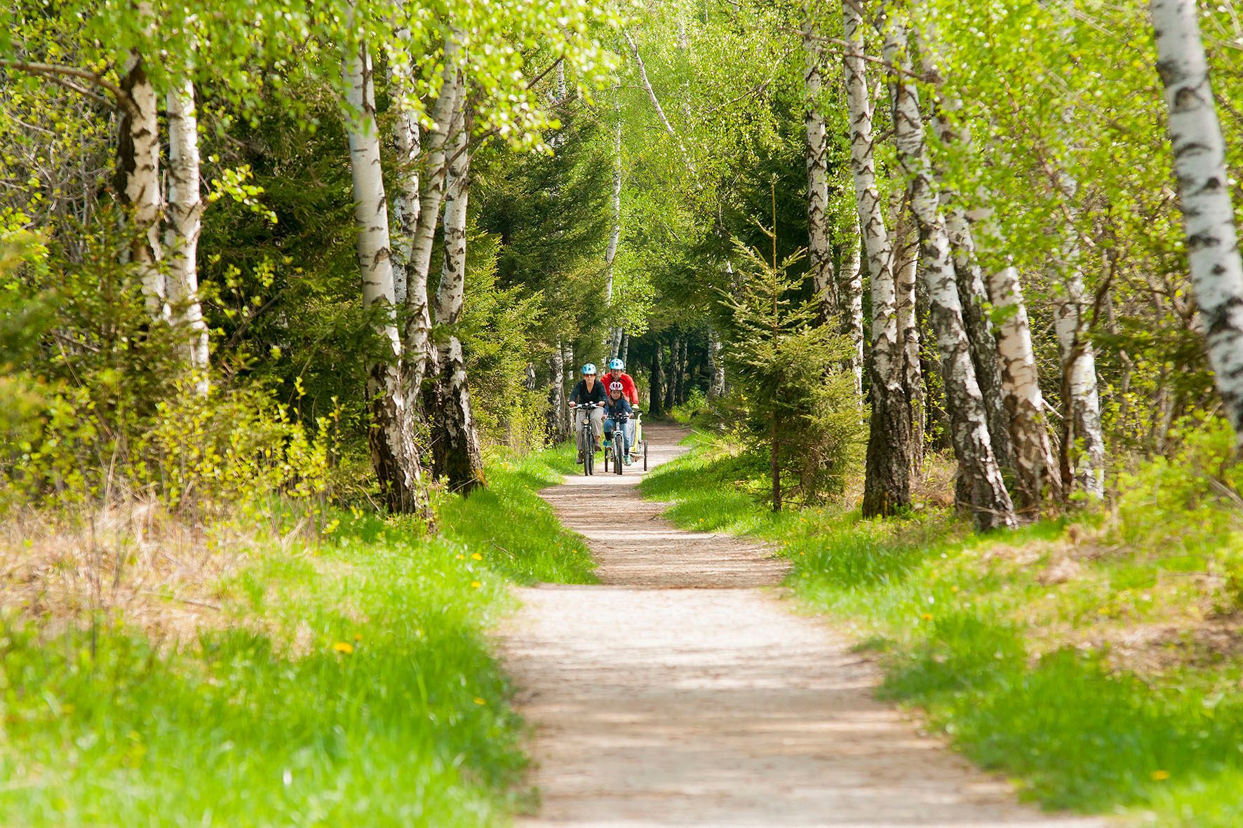 Durch einsame Moorwege zum Chiemsee