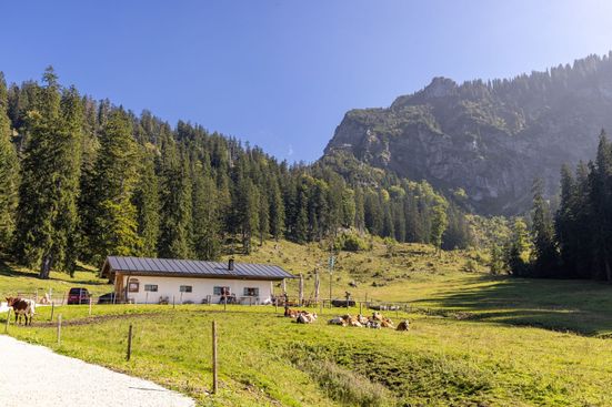 Brachtalm