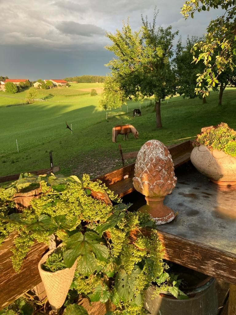 Hofimpressionen
