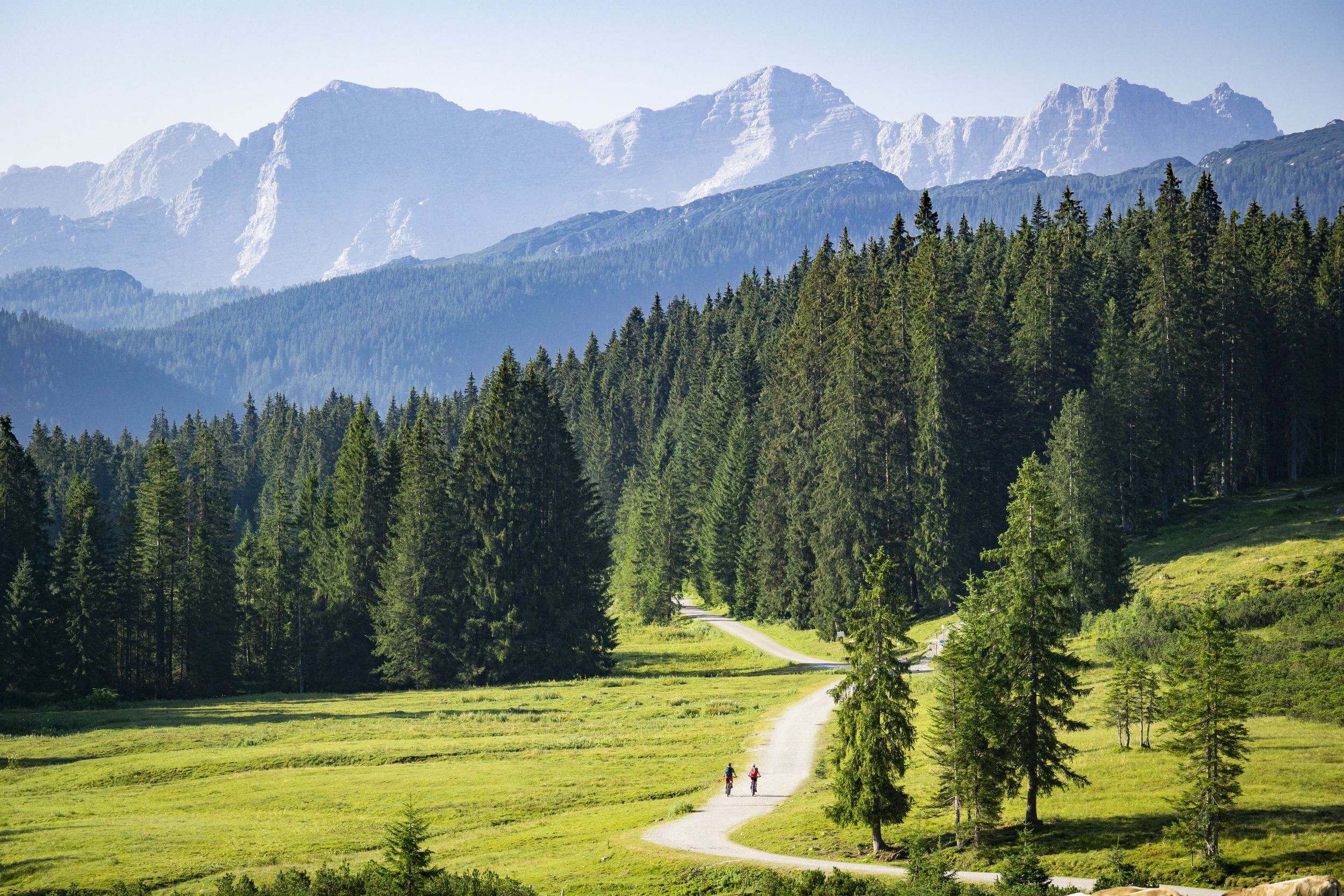 Winklmoos - Alm in Richtung Muckklause