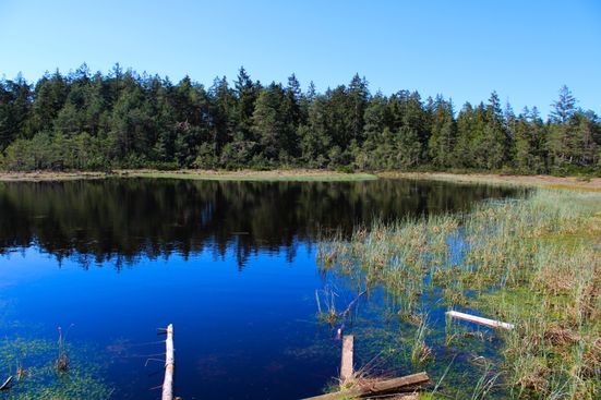 Grundloser See Gstadt