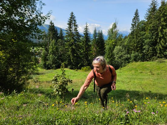 Kräuterwanderung mit Silvia