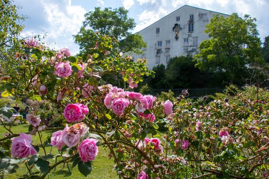 Rosengarten Trostberg