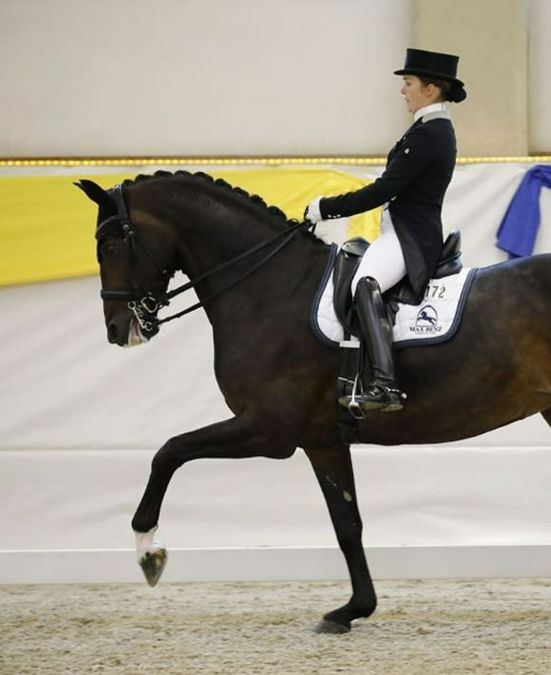 hallenturnier-dressur-580-710