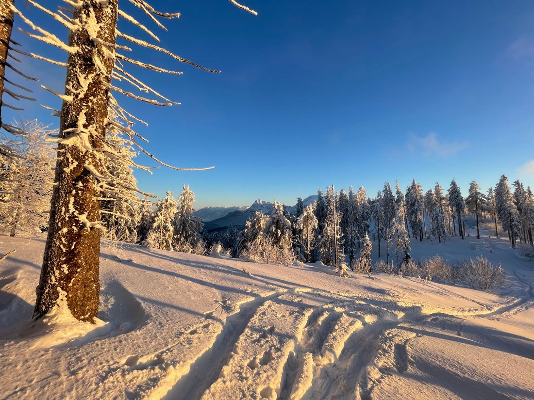 Winter auf der Stoißer Alm