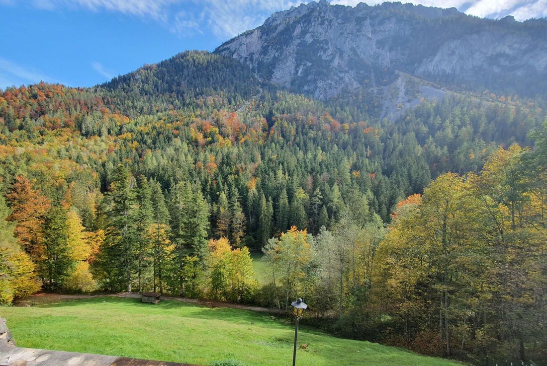 Aussicht vom Balkon auf Berg und See