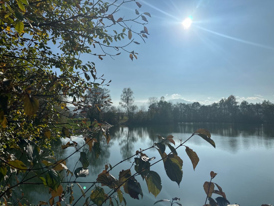 Reifinger See Herbst