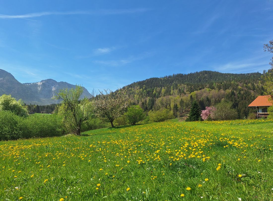 Frühling