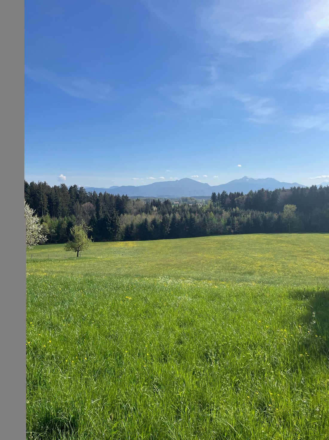 Bergblick