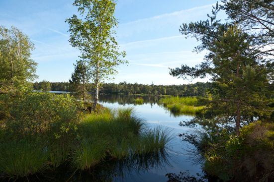 Schönramer Filz Moorsee2