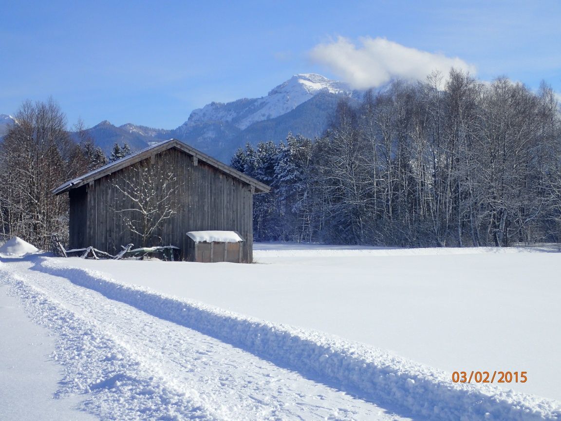Winterwandern in der Rottauer Filze